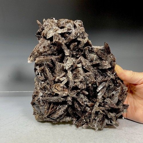 Rocks axinite crystals - ss,